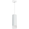 Комплект со светильником LIGHTSTAR Rullo RP48631