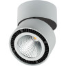 Светильник накладной LIGHTSTAR FORTE MURO 213859
