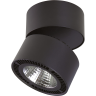 Светильник накладной LIGHTSTAR FORTE MURO 214857